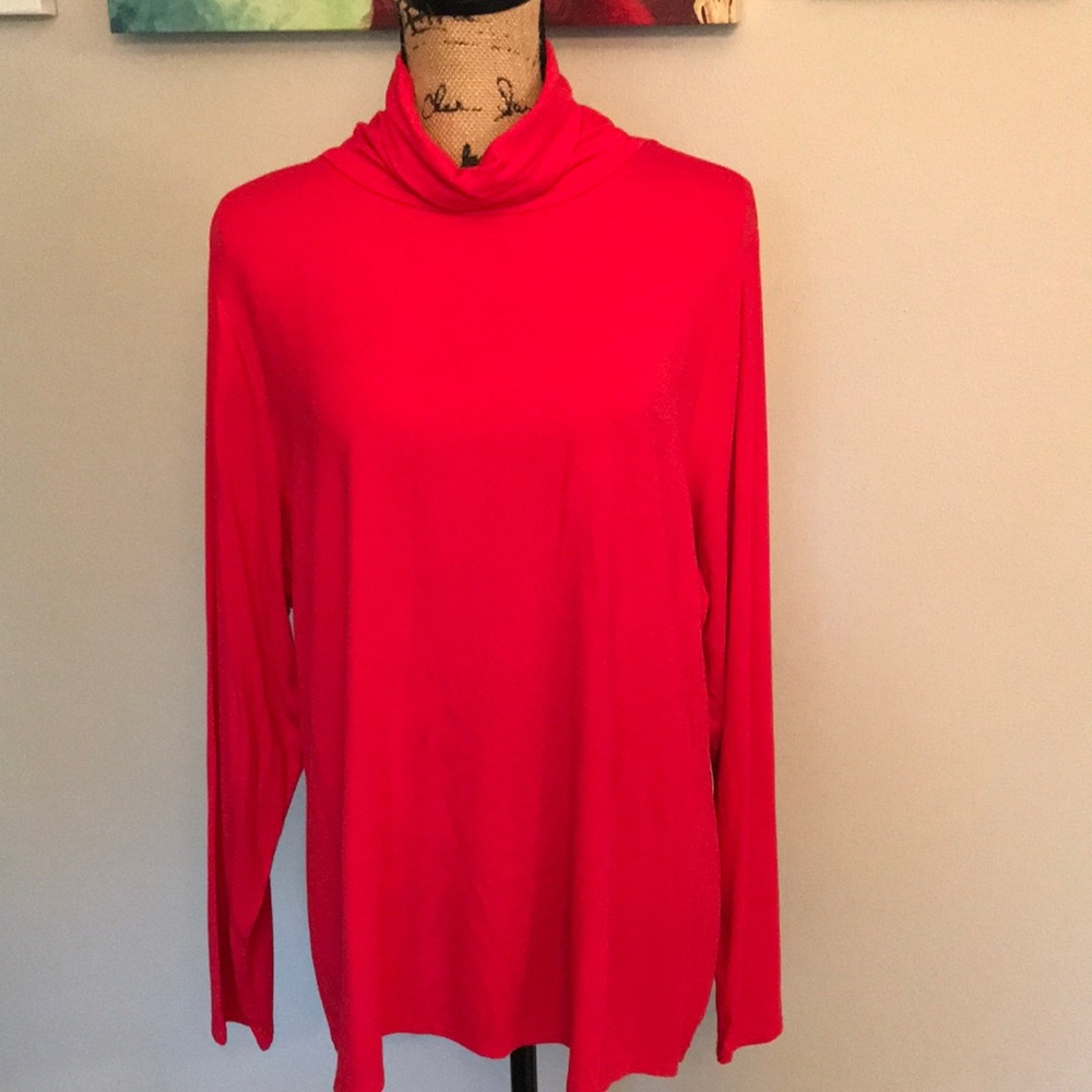 Investments ll Red turtleneck